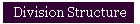 Division Structure