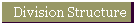 Division Structure